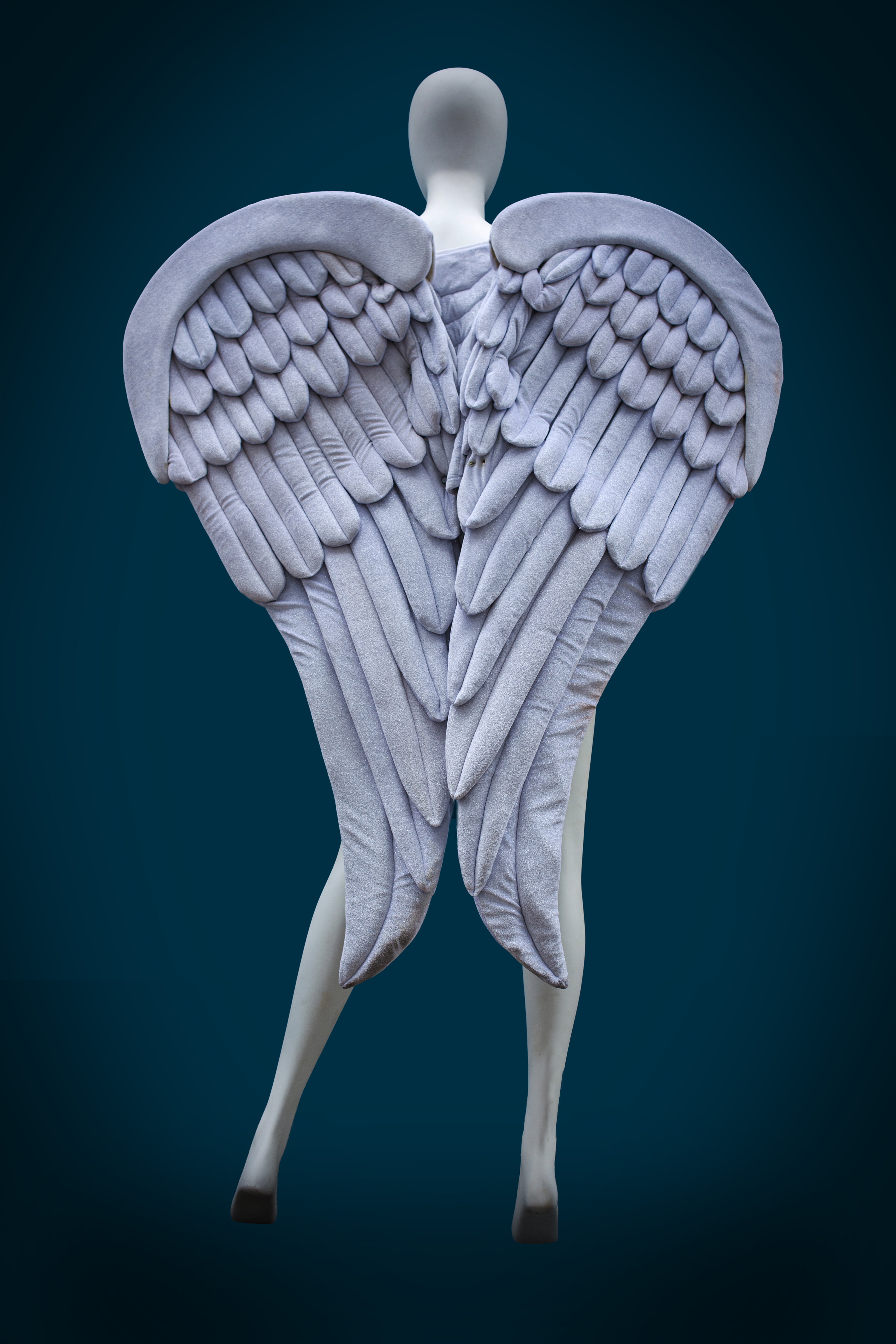Wings
